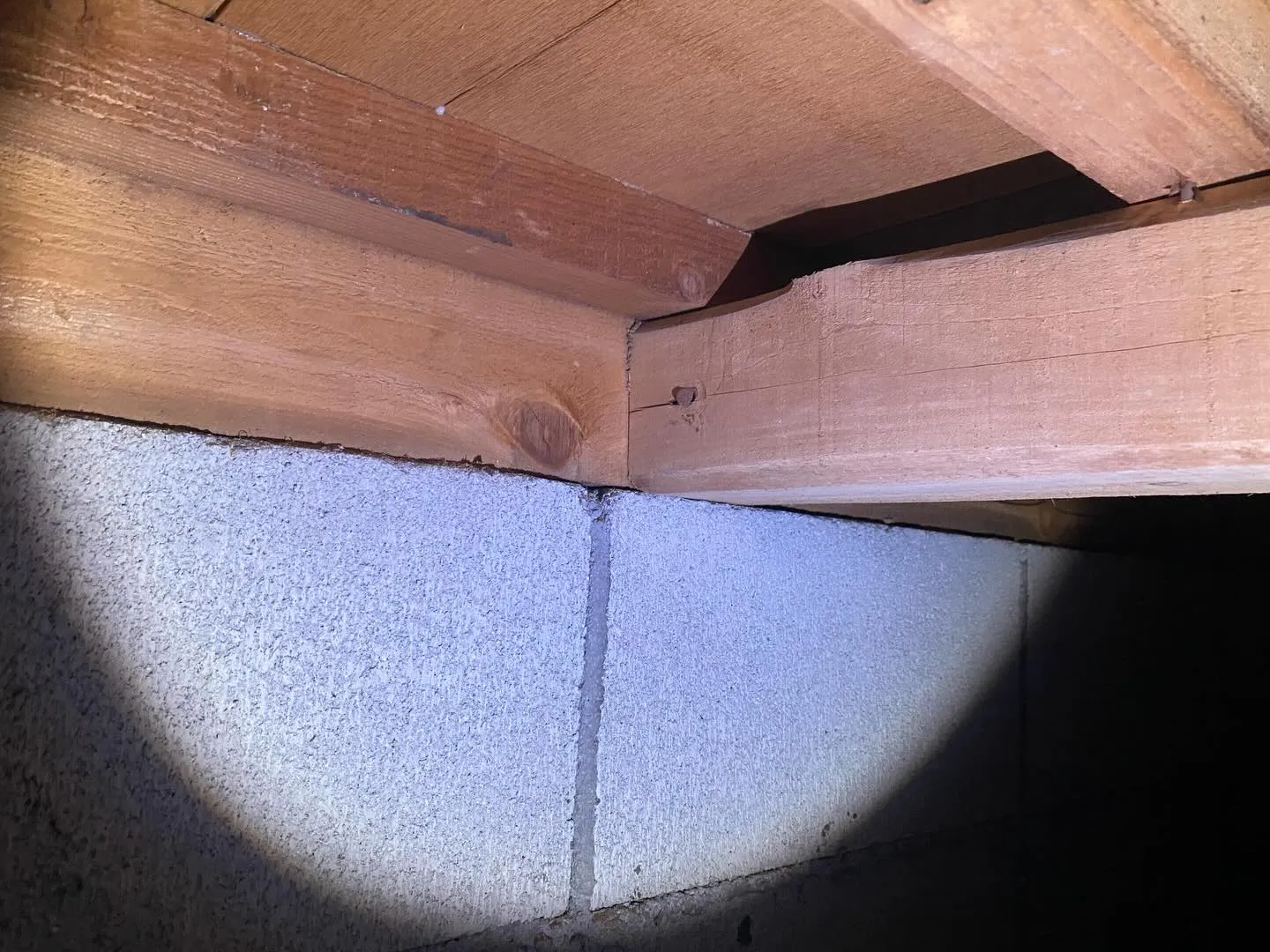 【床がフワフワする原因は？徹底調査で判明しました👀🔍】